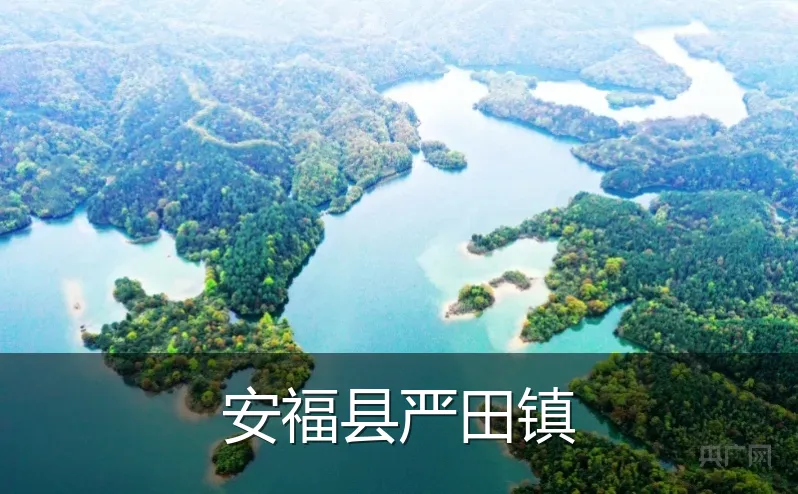 安福县严田镇