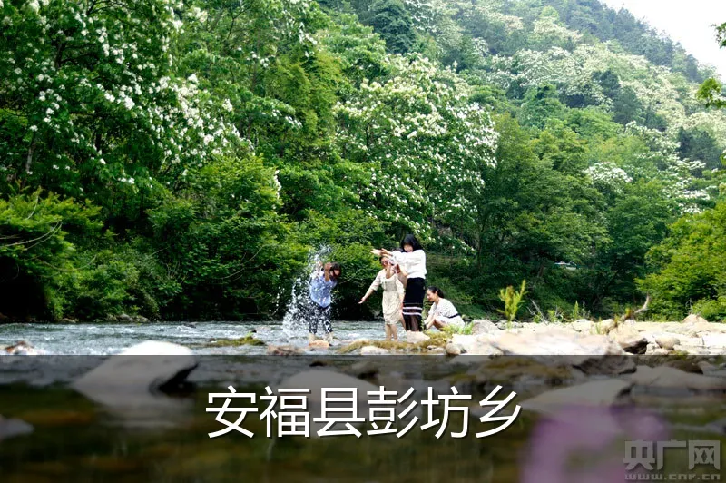 安福县彭坊乡
